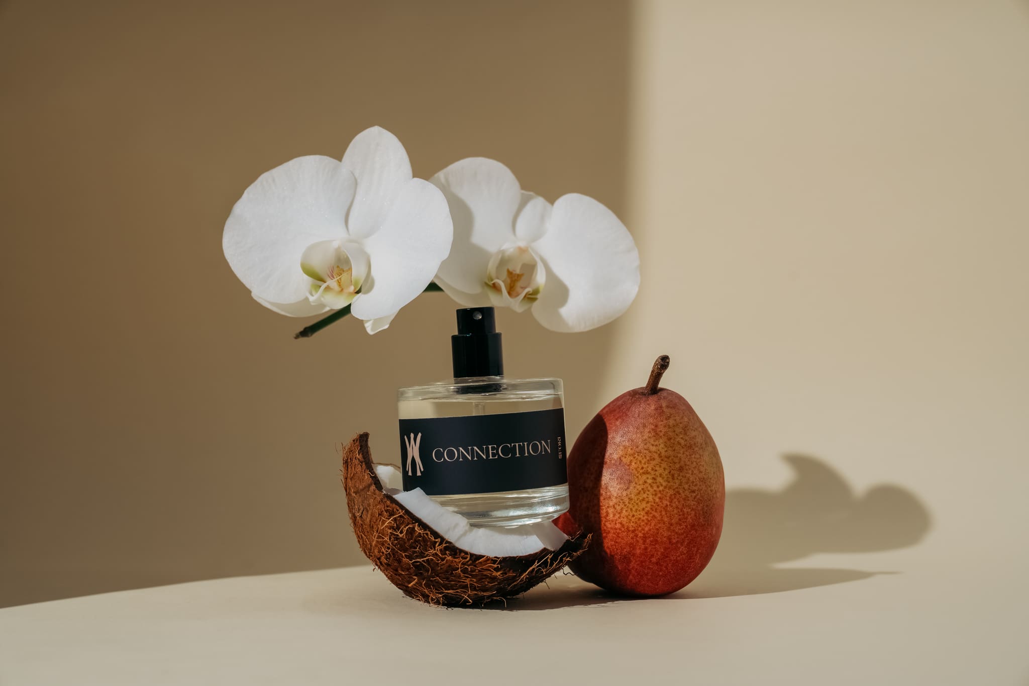 Professional product photography for Efori showing cohesive branding